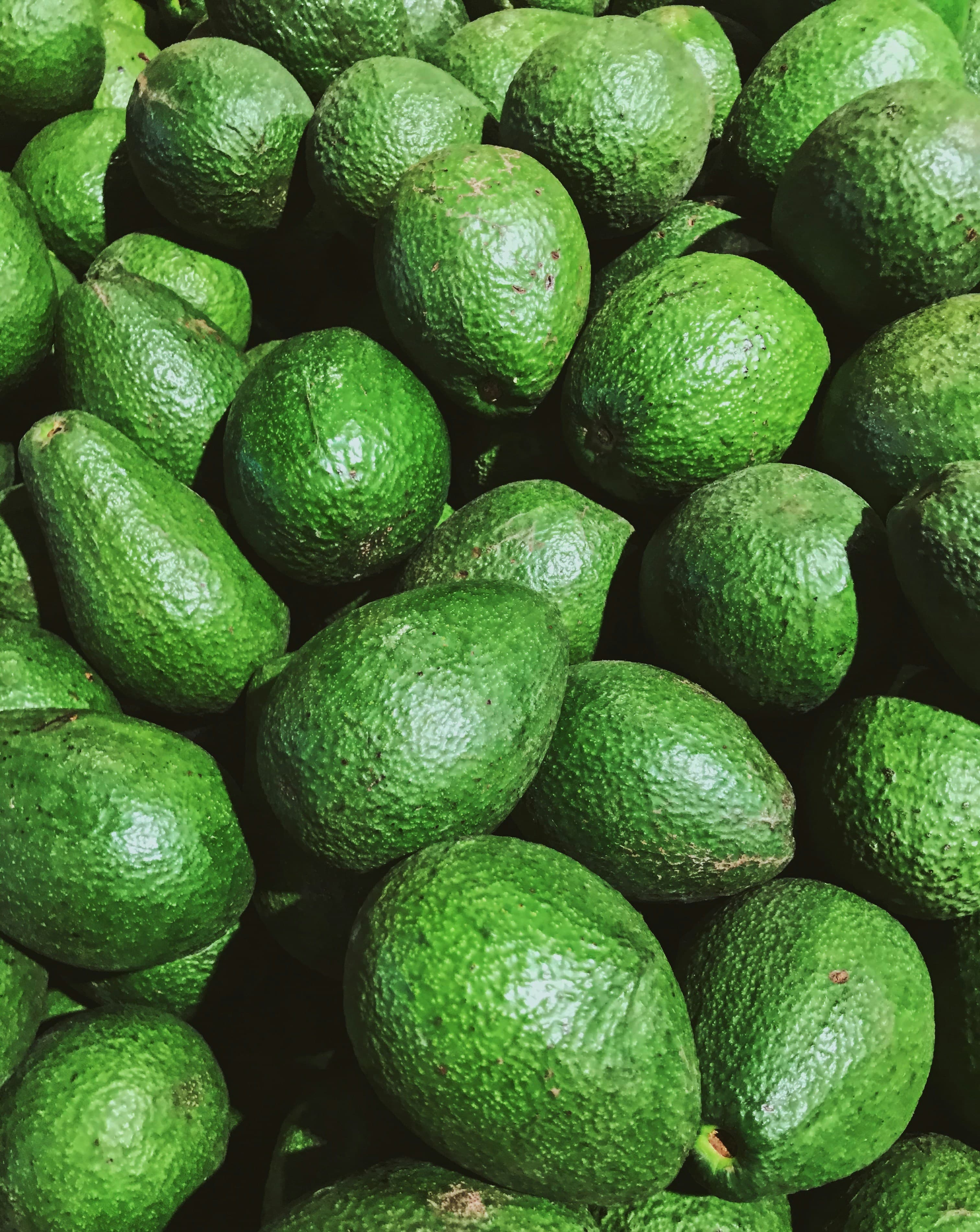 Fresh Avocados - Premium fruits from Kev Frontiers